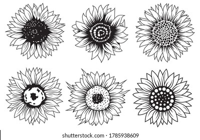 Set of sunflower flowers. Collection of silhouettes stylized blooming plants. Autumn flowers. Vector illustration on white background. Floral logotype. Tattoo.