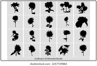 Set of sunflower flowers. Collection of silhouettes stylized blooming plants. Autumn flowers. Vector illustration on white background. Floral logotype. Tattoo.
