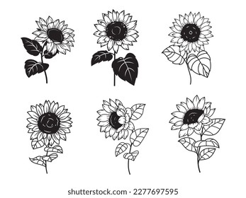 Set of sunflower flowers. Collection of silhouettes stylized blooming plants. Autumn flowers. Vector illustration on white background. Floral logotype. Tattoo.