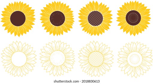 Set sunflower graphics vector illustration