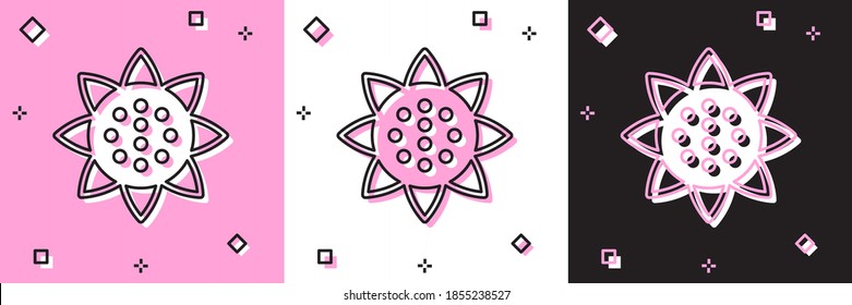 Set Sunflower icon isolated on pink and white, black background. Vector.