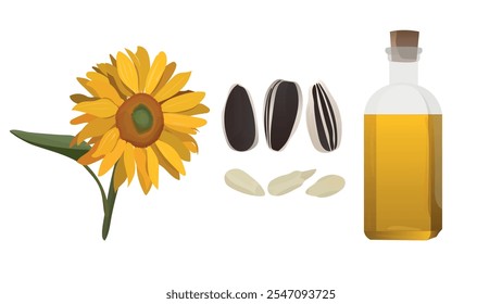 Set sunflower oil, flower, seeds and cereals. Sunflower seed oil in a bottle.Vector illustration with sunflowers and seed oil in a glass bottle.