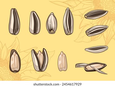 Set of sunflower seeds in vector. Elements for creating posters or advertising for a health food store. Vegetarian ingredients for cooking. Grains for sunflower oil. Background with pattern