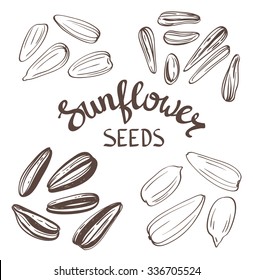 Set of Sunflower seeds with Vintage Stylized Lettering. Vector hand drawn Illustration