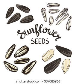 Set of Sunflower seeds with Vintage Stylized Lettering. Vector hand drawn Illustration