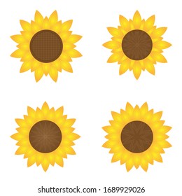 Set of Sunflower Vector design.