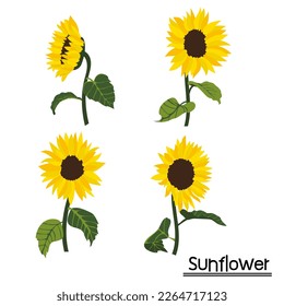 Set of sunflowers background.Eps 10 vector.