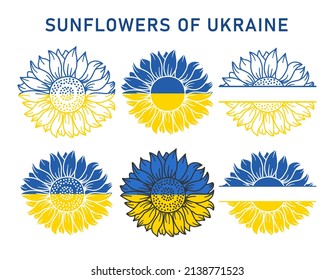 Set of sunflowers in blue and yellow colors of the flag of Ukraine. Hand drawn flat vector illustration for your design.