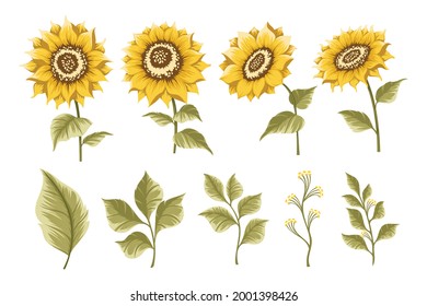 Set of sunflowers design element for wedding invitation and birthday card