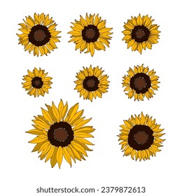 A set of sunflowers for design and patterns. Color vector illustration, isolated on a white background.