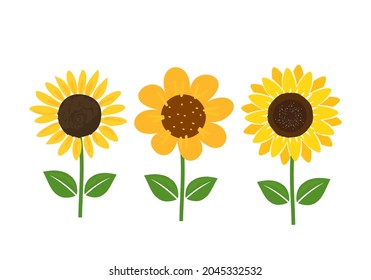 Set of sunflowers with green leaves icons isolated on white background vector illustration.