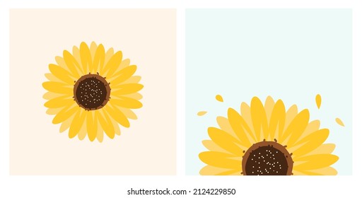 Set of sunflowers on orange and blue backgrounds vector illustration. 