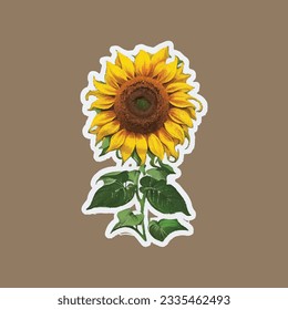 set of sunflowers, sticker of sunflower