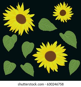 set of sunflowers. three  flowers and seven leaves. Flower petals are yellow gradient. Leaves in two simple colors: light and dark green. eps10
 