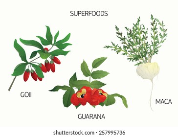 Set of superfoods: goji, maca and guarana