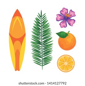 set of surfboard with leaf palm and flower with orange fruit