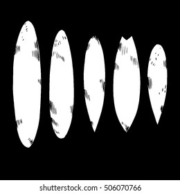 Set of surfboard silhouettes in scale,