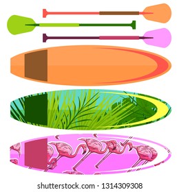 Set of surfboards and oar, vector flat illustration isolated on white background