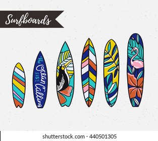 Set of surfboards with tropical plants and birds. Vector isolated objects.