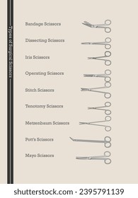 Set of Surgical Scissor Type