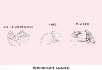 set of sushi. negi tora and ikura , hotate : scallop and unagi sushi : teriyaki japanese eel. japanese food ,sketch vector.