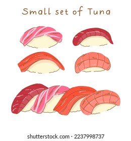 A set of sushi nigiri with tuna on the side and in a row, different parts of raw fatty tuna on rice.