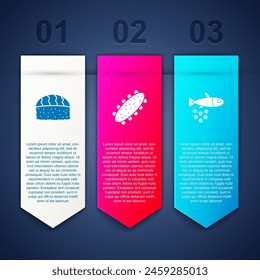 Set Sushi, Sea cucumber and Fish with caviar. Business infographic template. Vector