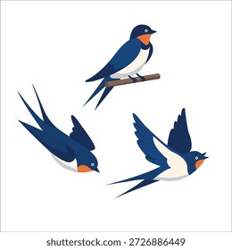 Set von Schwalben-Vogel-Illustrationen im Flug Vektorgrafik von drei Schwalben in verschiedenen fliegenden und stehenden Posen, ideal für Natur, Tierwelt und Frühlingsdesigns
