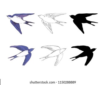 set of the swallow icons. Design elements for poster, t-shirt. Vector illustration.