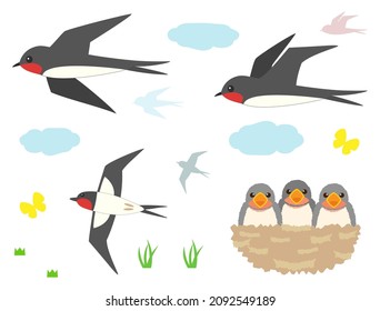 A set of swallow illustrations.
