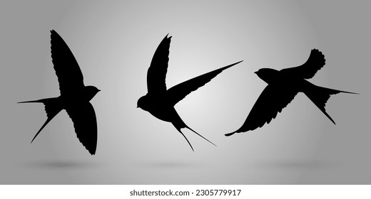 Set of Swallow Silhouettes - Vector Illustration
