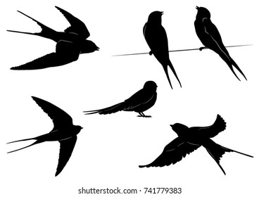 Set of Swallow Silhouettes - Vector Illustration