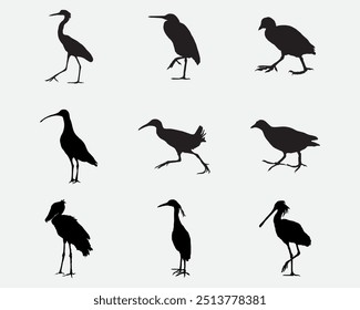 set of swamp bird heron,shoebill,strok vector silhouette .marsh bird shadow illustration isolated on background