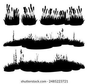 set of swamp reeds. Image of black silhouette isolated on white background. Vector river bank. Coastal plants. Tickets of wild shoots.