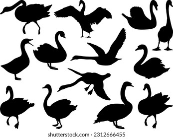 Set of Swan Silhouette, Flying Birds