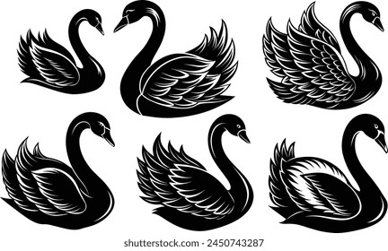 Set of Swan silhouette vector illustration