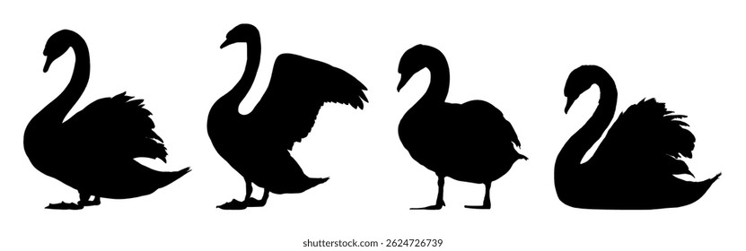 Conjunto de silhuetas de cisne - ilustração vetorial	