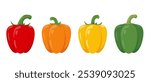 Set of sweet bell Peppers in different colors. Red, yellow, green and orange Paprika vegetable plant, vegetarian food. Vector icons illustration isolated on white background.
