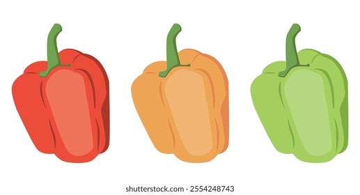 Set of sweet bell peppers. Fresh whole vegetables of different color. Raw natural food. Healthy ripe veggies. Flat vector illustration isolated on white background