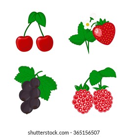 Set of sweet berries