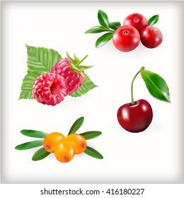 Set of sweet berries
