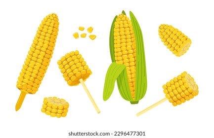 Set of sweet golden corn. Corn on the Cob, grains, cob on the holder, corn on a stick, corn slice, maize. Summer food vector illustration