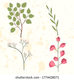 Set with sweet pea flowers and green leaves, olive leaf branch. Isolated vector illustration.