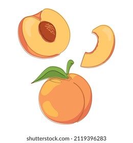 Set of sweet peach fruit. Flat illustration isolated on white	