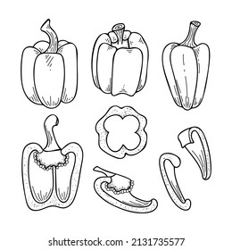 Gemüsepaprika-Sorte, leckere, reife Gemüse aus dem Garten. Doodle Zeichnung pflanzlicher Erzeugnisse. Glockenpfeffer in Scheiben. Handgezeichnete Vektorgrafik.