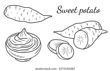 Set of sweet potato cut, sliced and mashed potatoes in bowl with garlic sauce in black isolated on white background. Hand drawn vector sketch illustration in doodle engraved vintage line art style