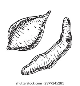 Conjunto de ilustraciones vectoriales de batatas aisladas en blanco. Todo el contorno de la tinta de batata dibujado a mano. Gráfica blanca de la papa de tubo. Para el menú de diseño, envoltura, ingredientes de la receta, envasado