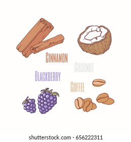 Set of sweet toppings: blackberry, cinnamon, coconut and coffee beans. Hand drawn food. Vector illustration