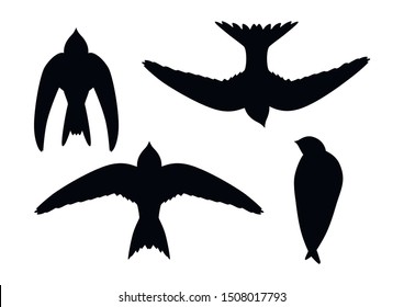 Set swift silhouette. Black and White Silhouette design of four swifts birds.