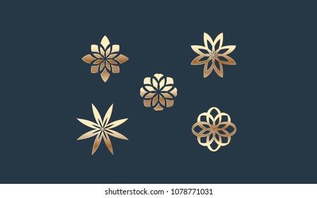 Set of Swirl Ornament Logo Template vector illustration design